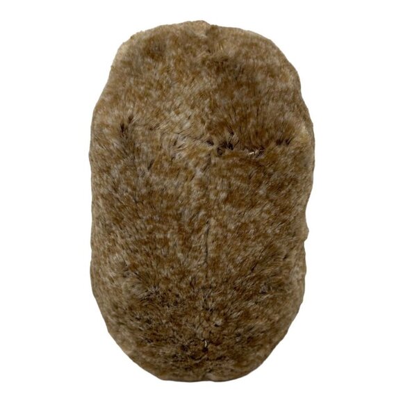 Ty Beanie Boos PINECONE Hedgehog 9in  Walgreens Exclusive Rainbow Buddy Plush - Picture 3 of 15